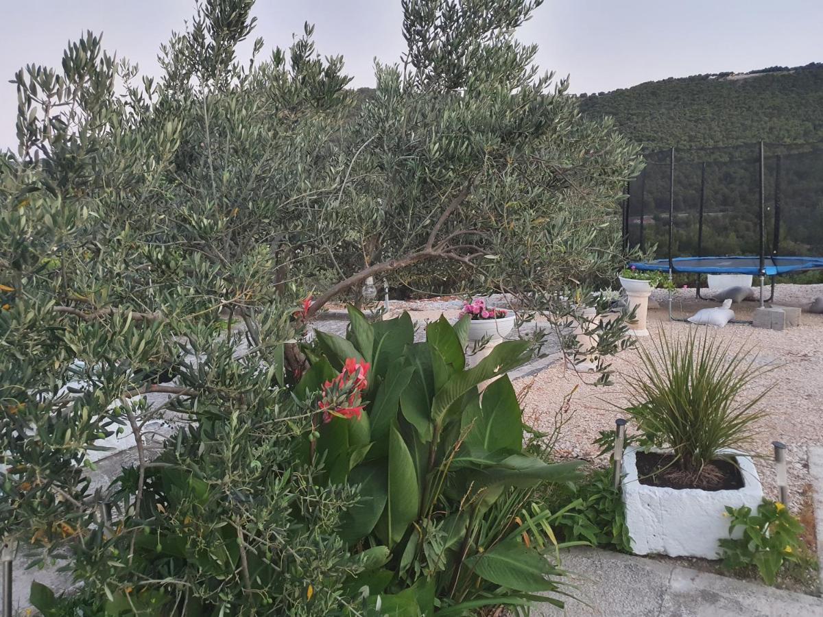 Apartman Mare Šibenik Dış mekan fotoğraf