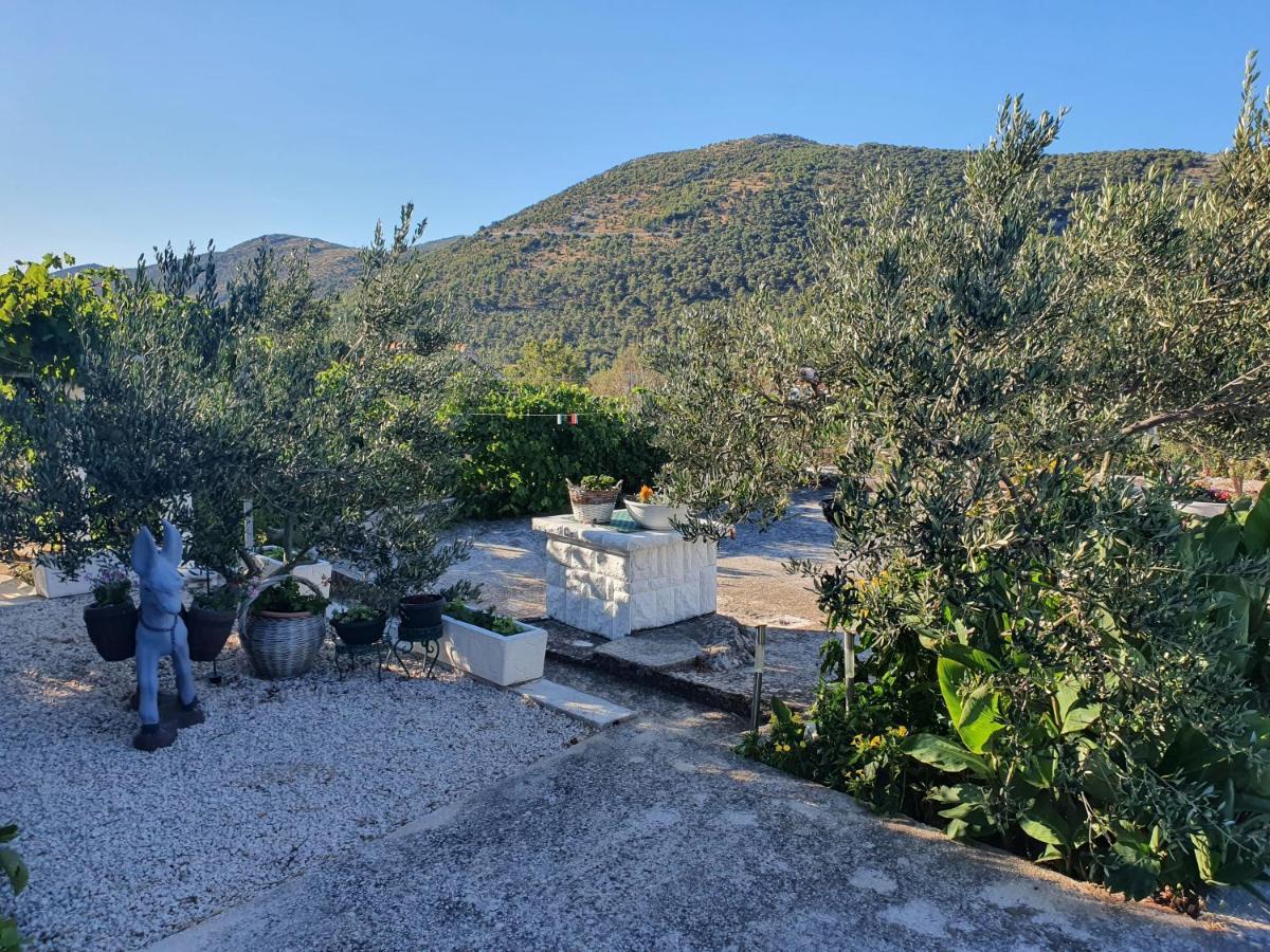 Apartman Mare Šibenik Dış mekan fotoğraf