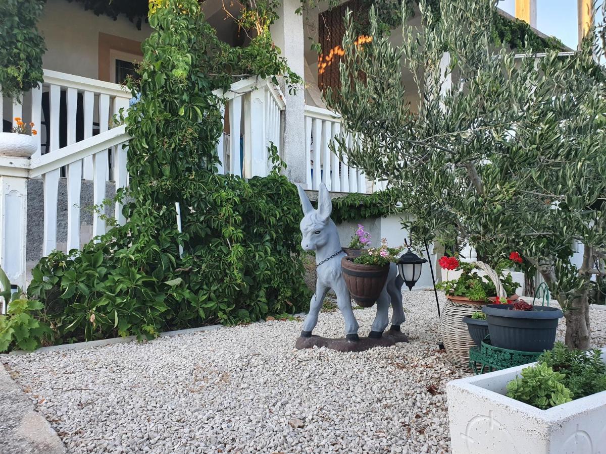 Apartman Mare Šibenik Dış mekan fotoğraf