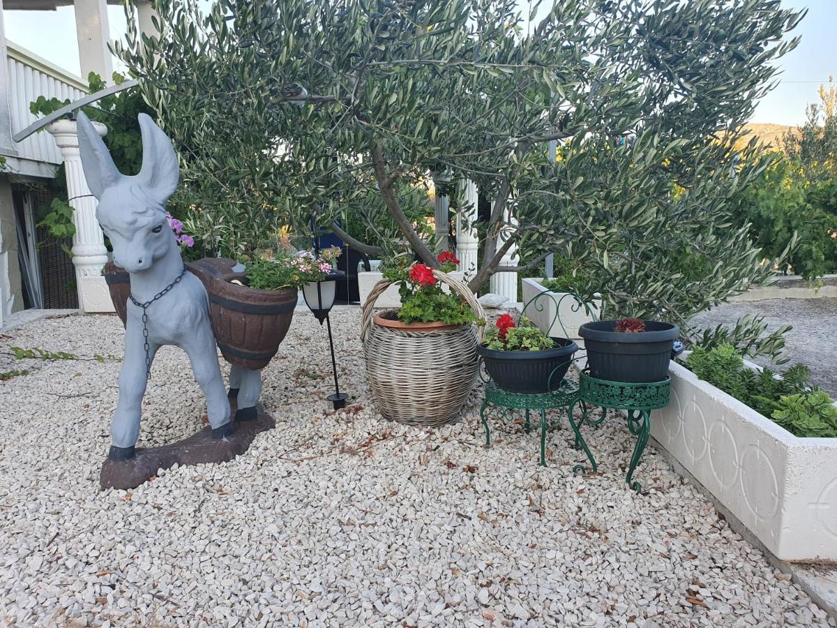 Apartman Mare Šibenik Dış mekan fotoğraf