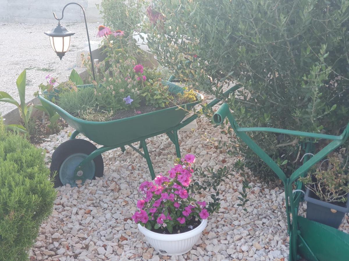Apartman Mare Šibenik Dış mekan fotoğraf